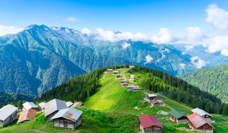 Pokut