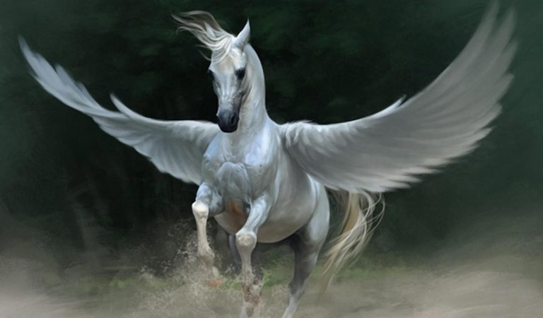 Pegasus
